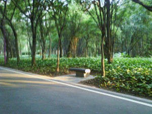 DSC00168